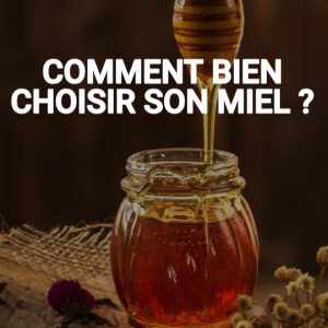 Comment bien choisir son miel ?