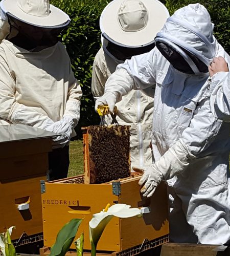 producteur miel